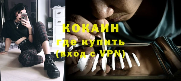 кокс Гусев