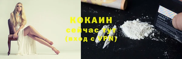 кокс Гусев
