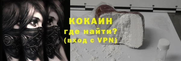 шишки Гусь-Хрустальный
