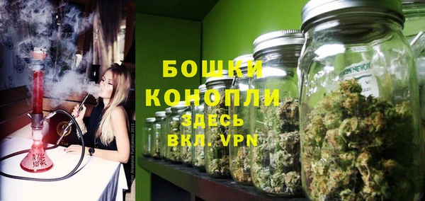 шишки Гусь-Хрустальный