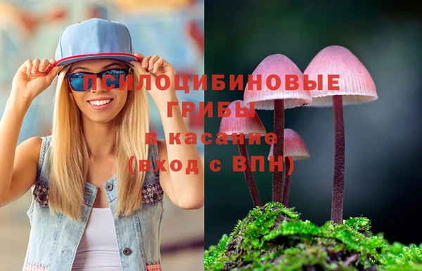 бошки Гусиноозёрск