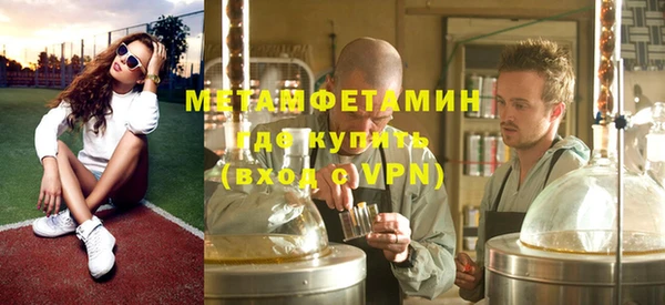 шишки Гусь-Хрустальный
