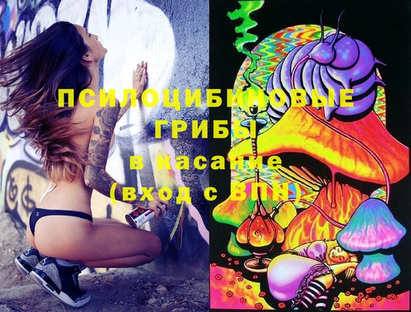 шишки Гусь-Хрустальный