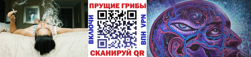 где продают   Ачинск  Псилоцибиновые грибы Cubensis 